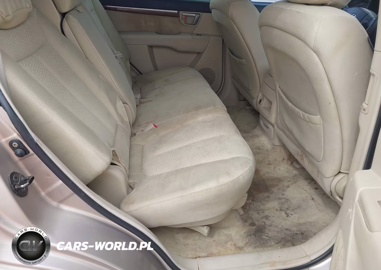 2007 Hyundai Santa Fe Gls VIN:5NMSG13D87H054620 - 8