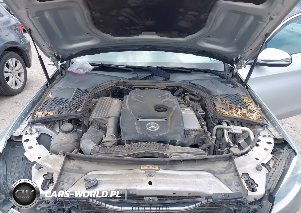 2018 Mercedes-Benz C 300 VIN:WDDWF4JB8JR387044 - 10