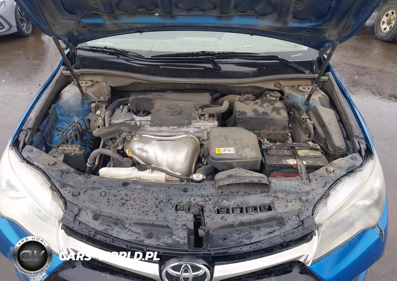 2017 Toyota Camry Se VIN:4T1BF1FK1HU696731 - 10