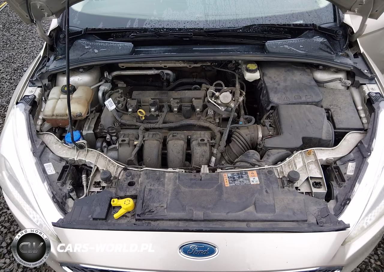 2017 Ford Focus Se VIN:1FADP3K20HL271427 - 10