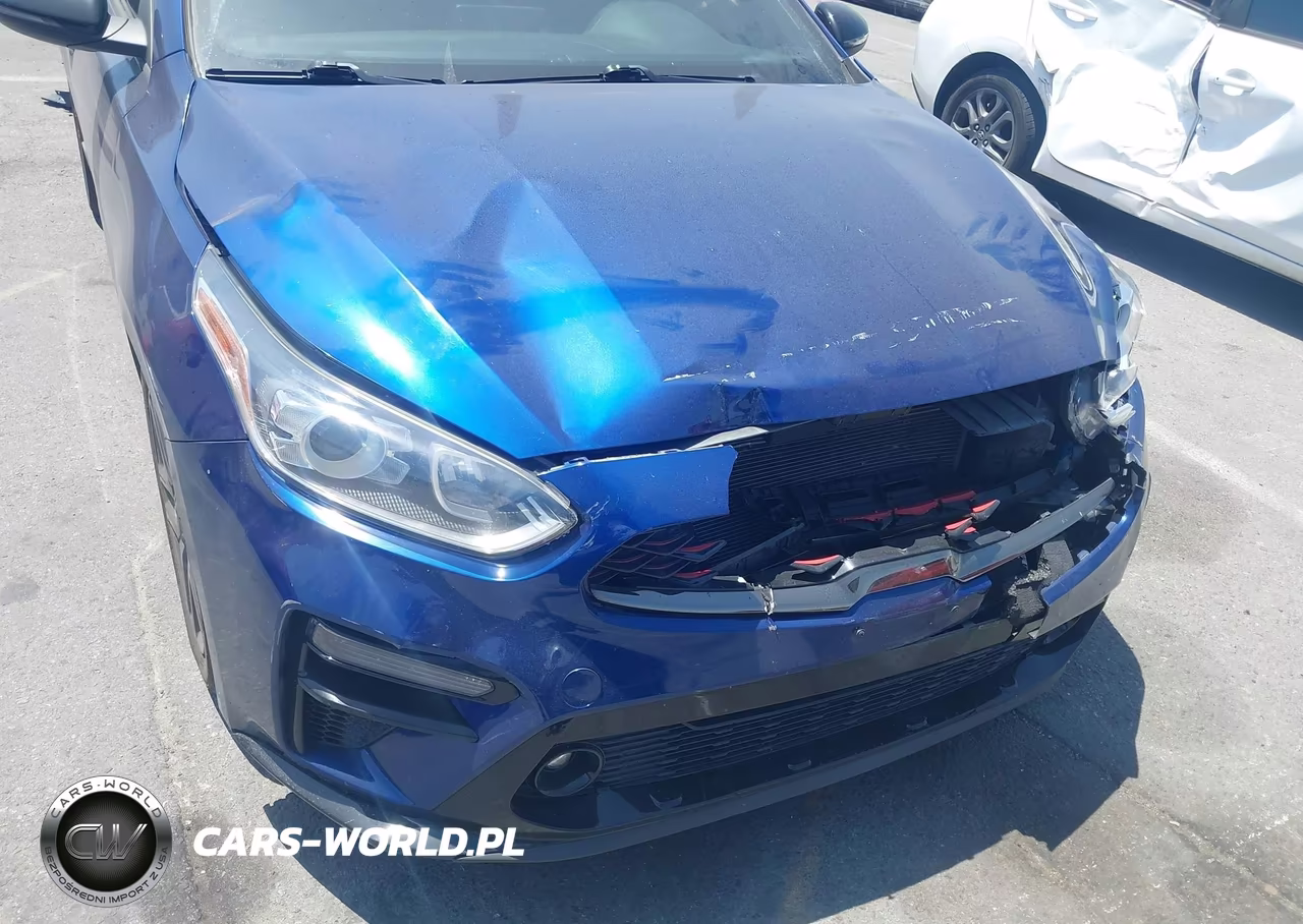 2021 Kia Forte Gt-Line VIN:3KPF34AD4ME303712 - 17