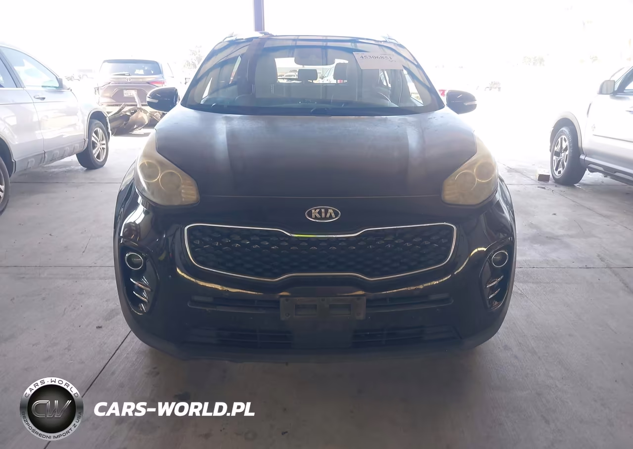 2017 Kia Sportage Ex VIN:KNDPN3AC9H7244601 - 12