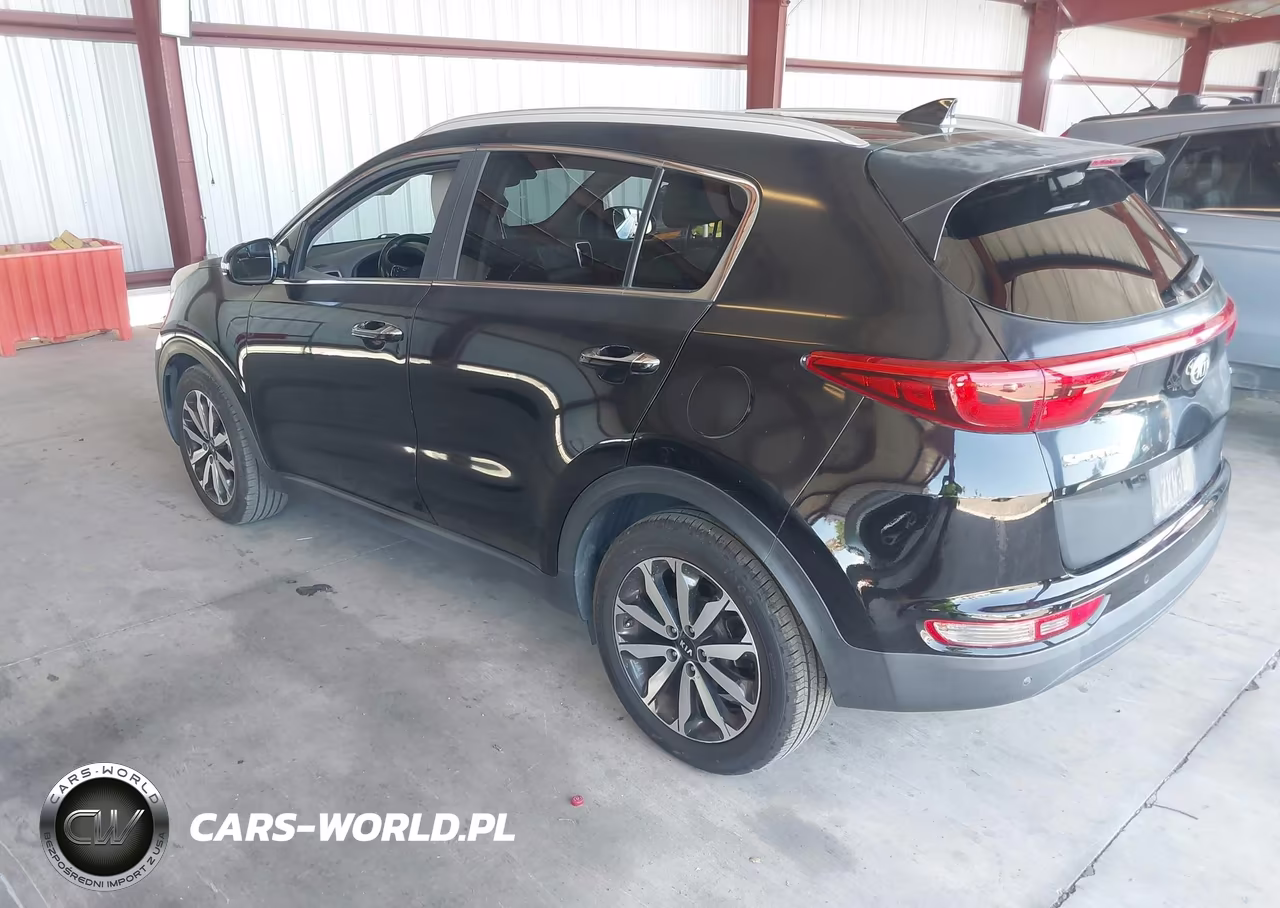 2017 Kia Sportage Ex VIN:KNDPN3AC9H7244601 - 3