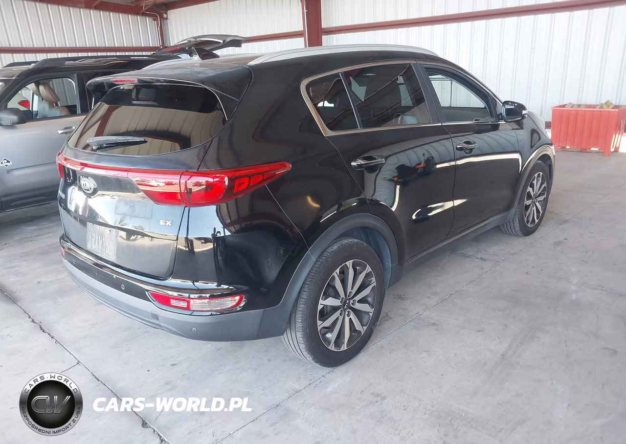 2017 Kia Sportage Ex VIN:KNDPN3AC9H7244601 - 4