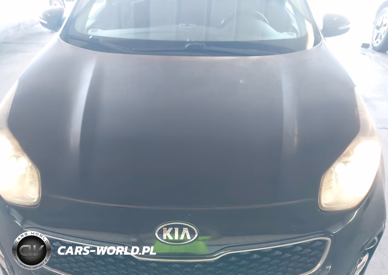 2017 Kia Sportage Ex VIN:KNDPN3AC9H7244601 - 6