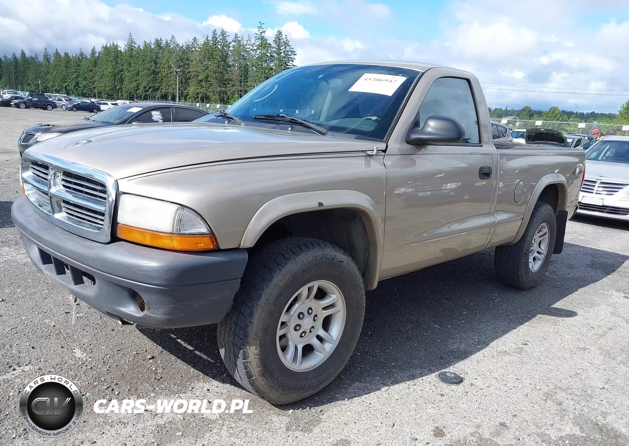 2004 Dodge Dakota VIN:1D7GG16KX4S540514 - 2