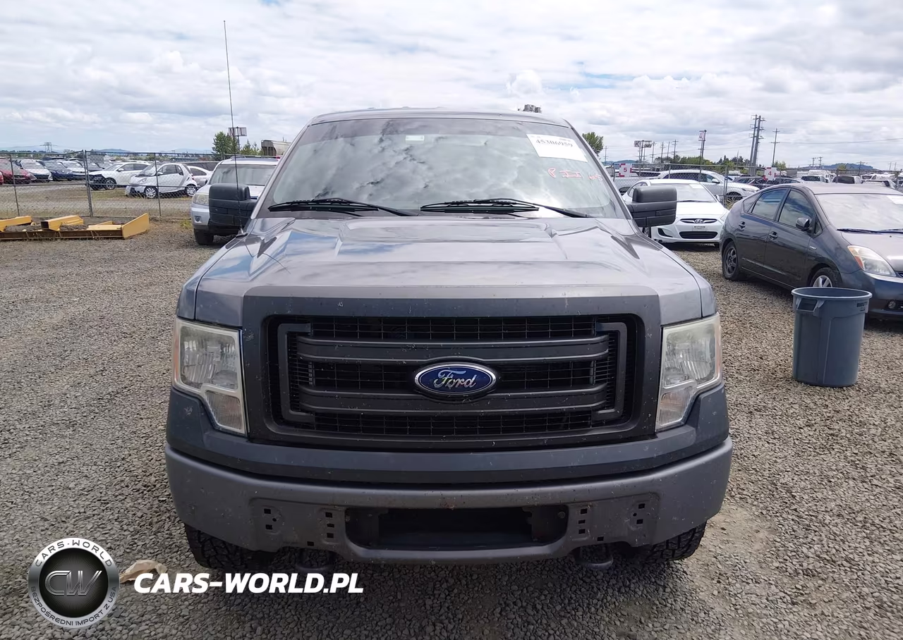 2014 Ford F-150 Xl VIN:1FTMF1EM7EKF29796 - 12
