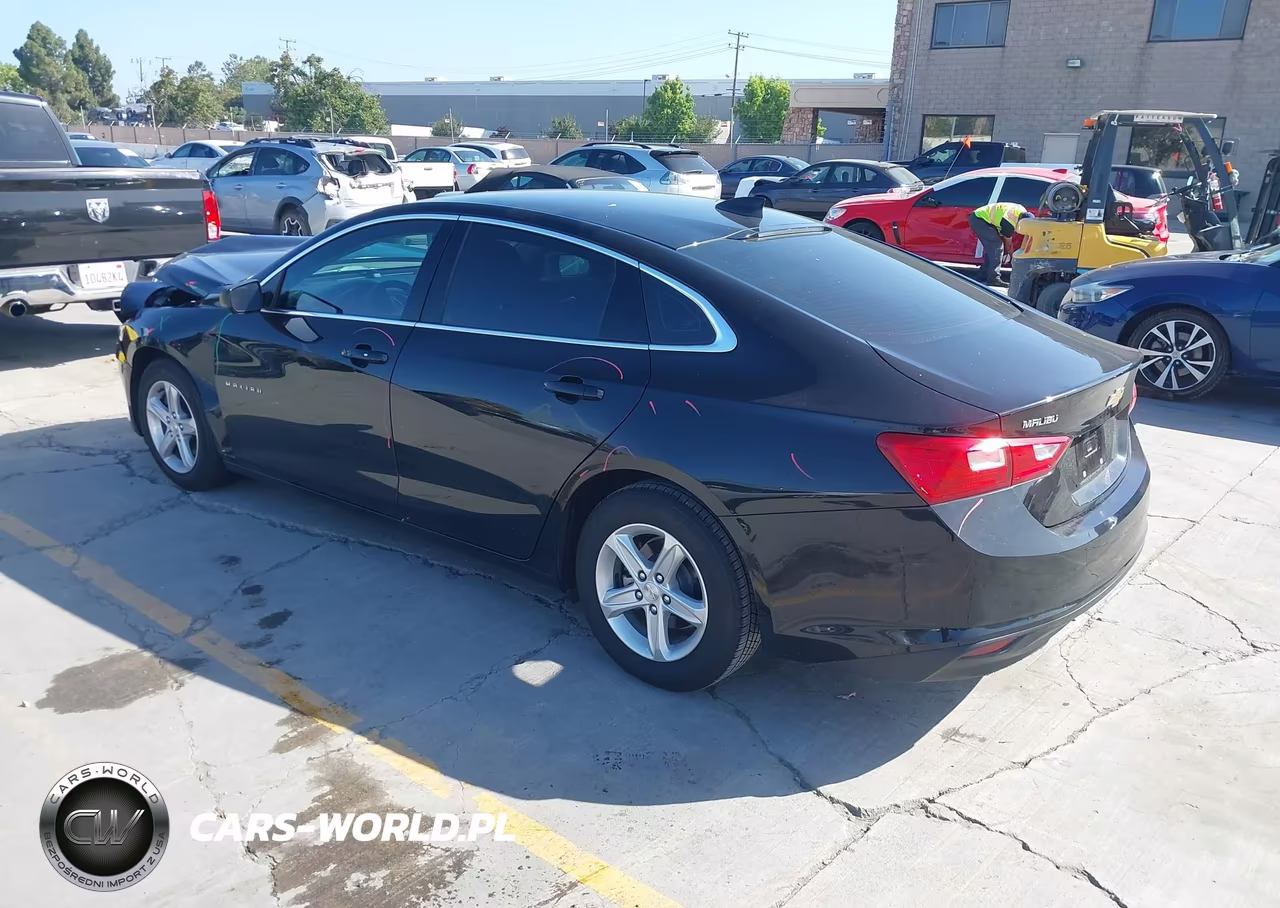 2023 Chevrolet Malibu Fwd Ls VIN:1G1ZB5ST3PF215426 - 3
