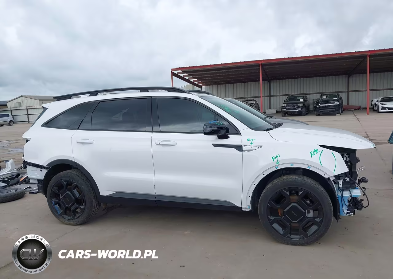 2025 Kia Sorento X-Line Ex VIN:5XYRHDJF9SG368393 - 14