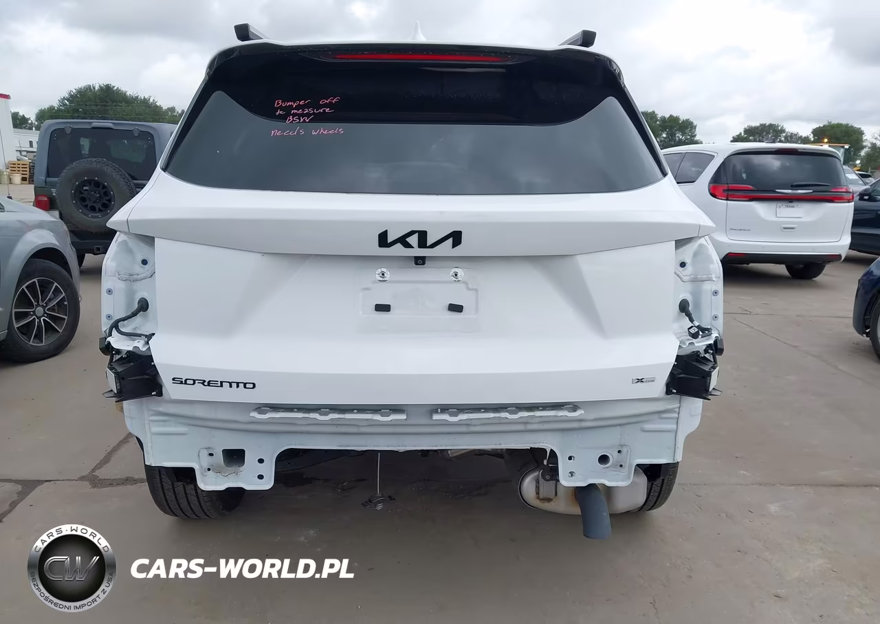 2025 Kia Sorento X-Line Ex VIN:5XYRHDJF9SG368393 - 17