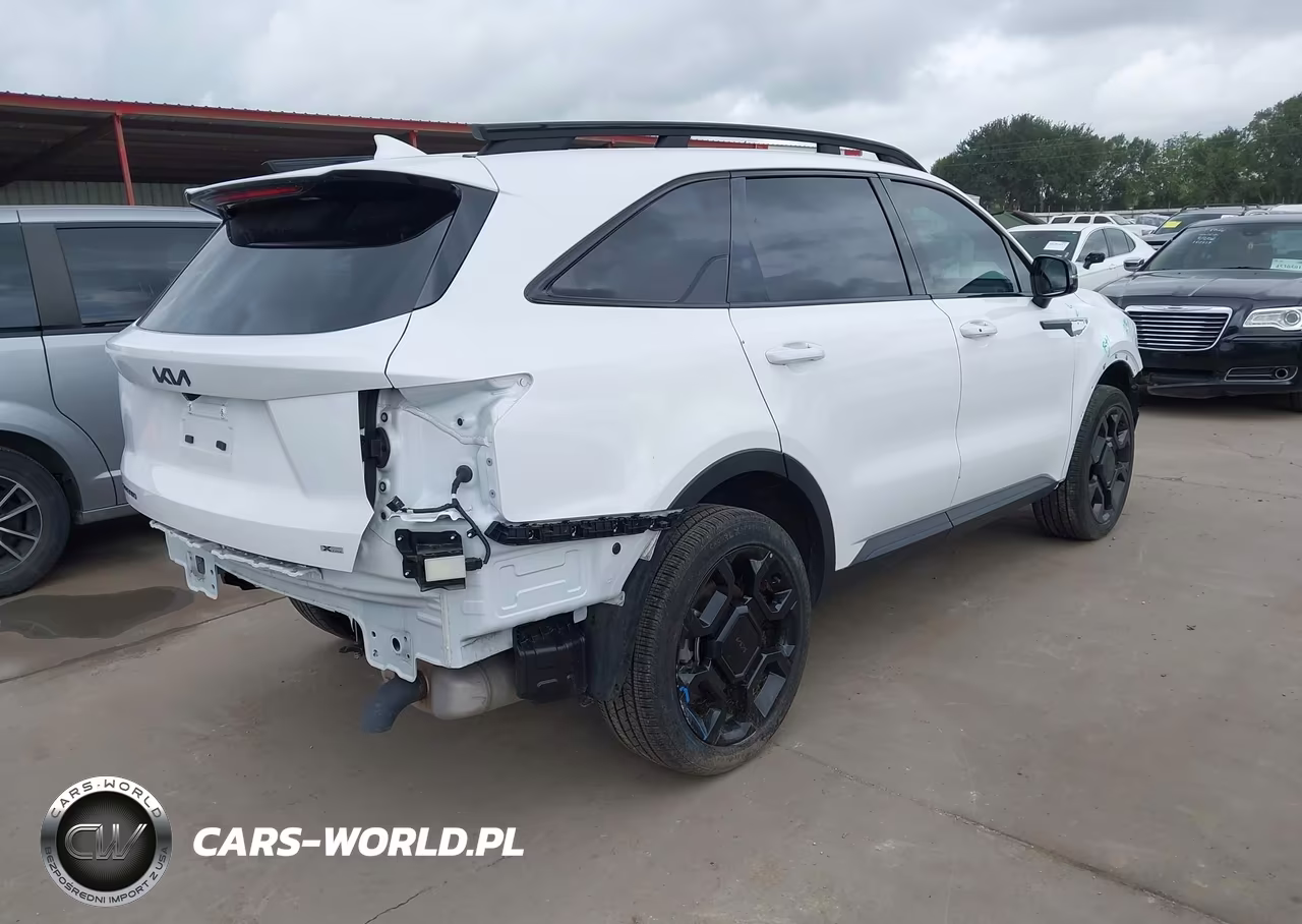 2025 Kia Sorento X-Line Ex VIN:5XYRHDJF9SG368393 - 4