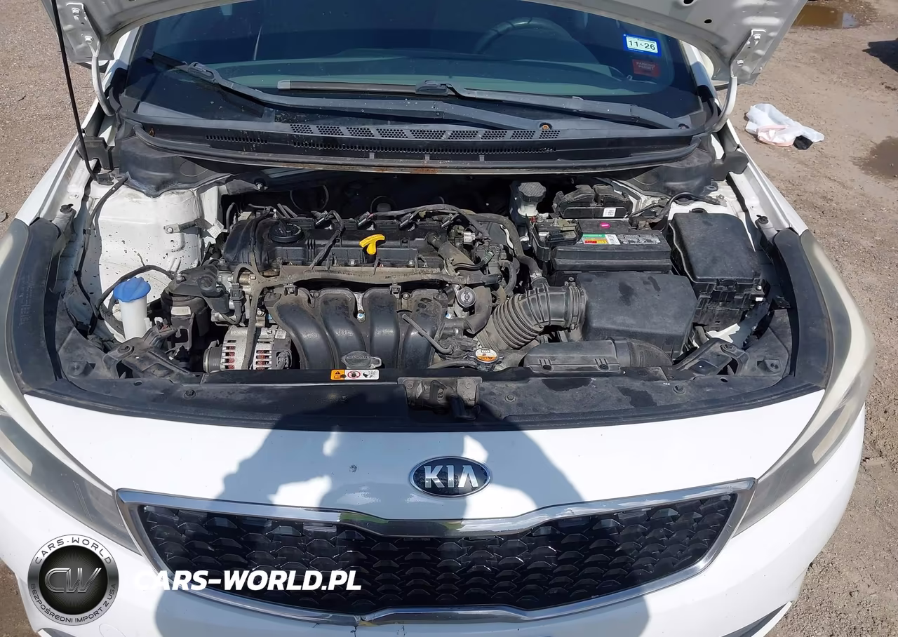 2017 Kia Forte Lx VIN:3KPFK4A7XHE077341 - 10