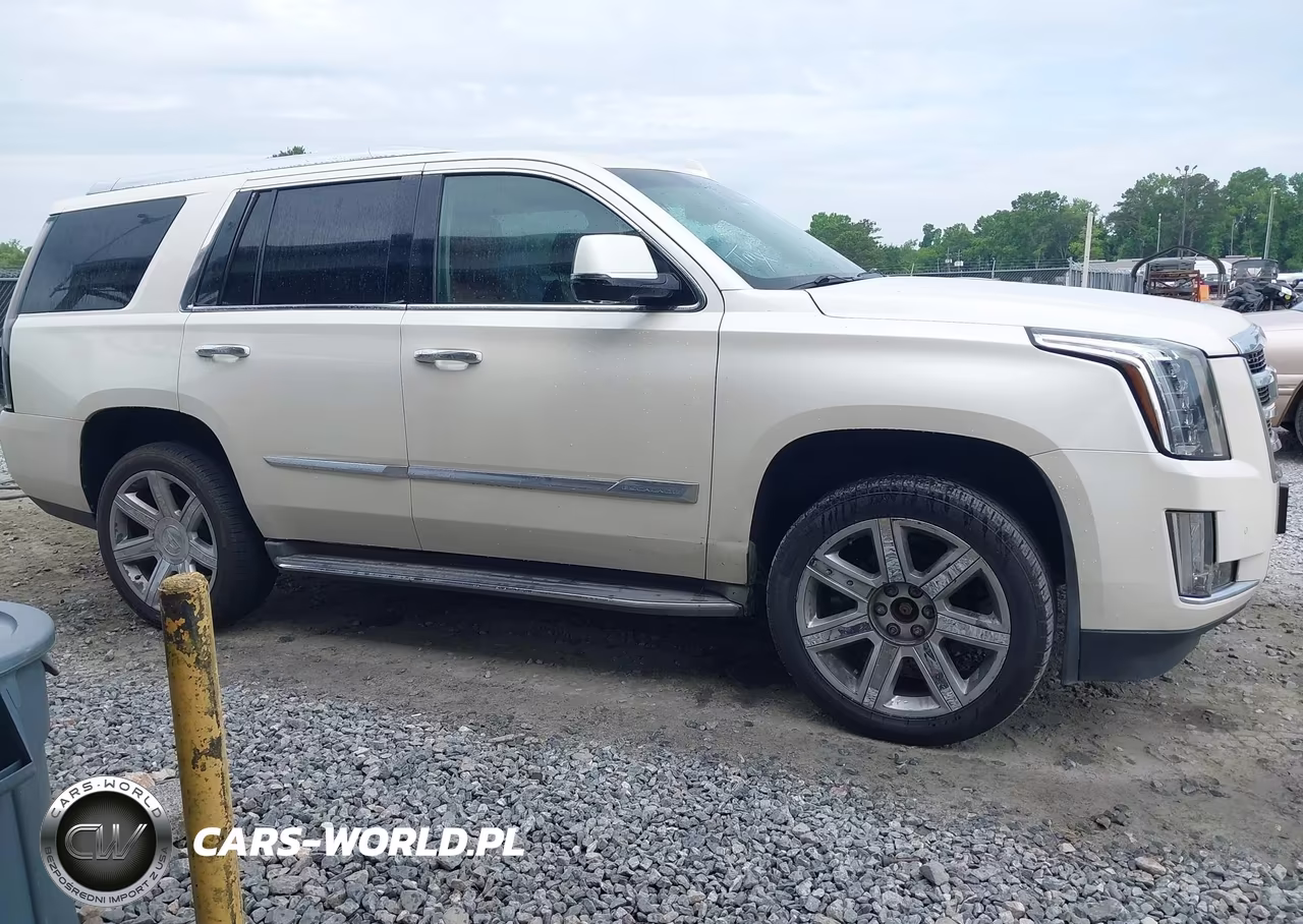 2015 Cadillac Escalade Luxury VIN:1GYS4MKJ9FR542853 - 13