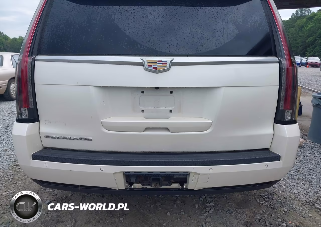 2015 Cadillac Escalade Luxury VIN:1GYS4MKJ9FR542853 - 16