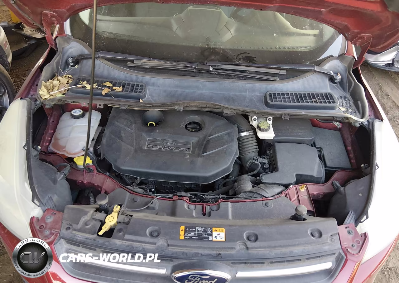 2013 Ford Escape Se VIN:1FMCU0G9XDUB40203 - 10