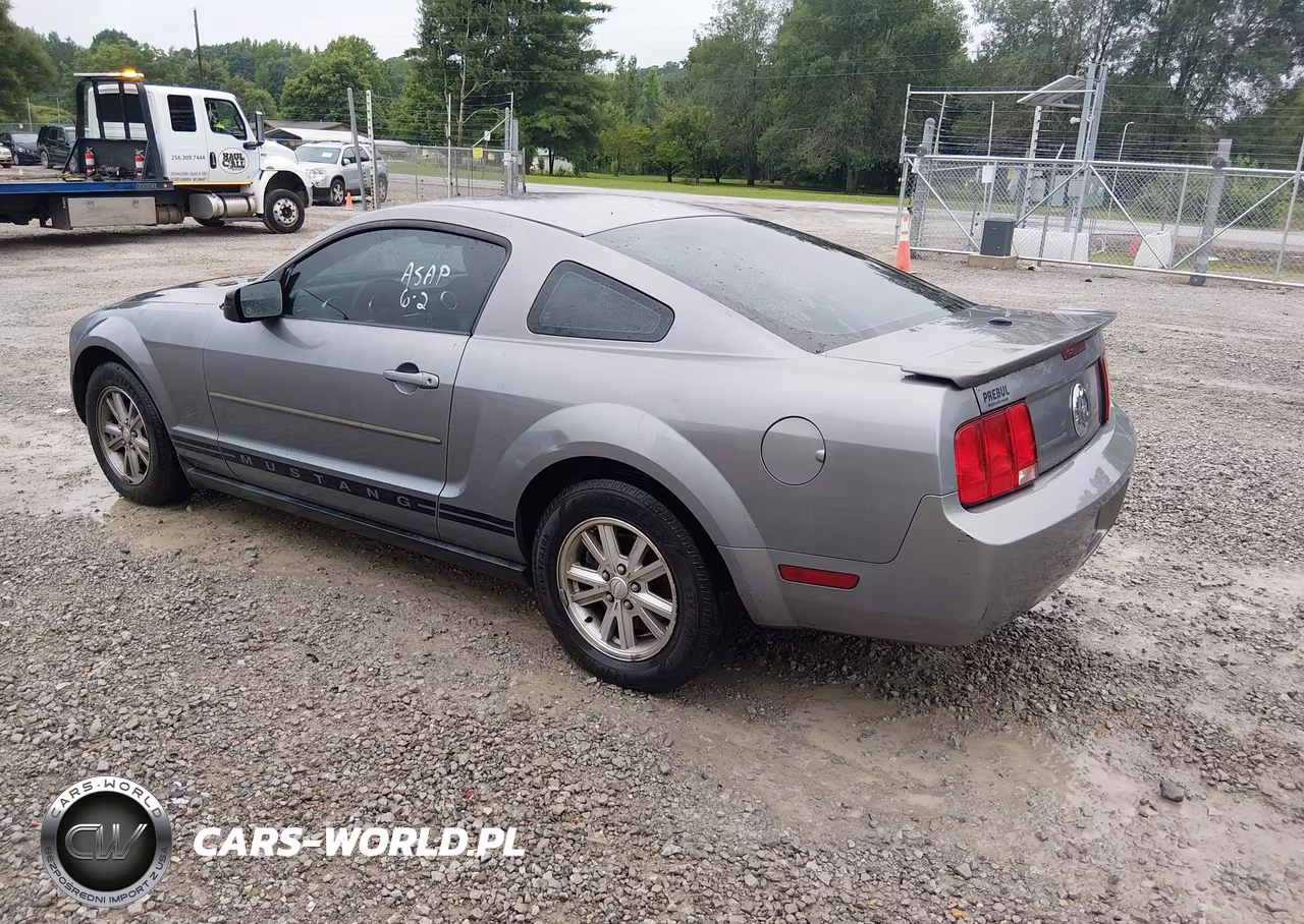 2007 Ford Mustang V6 Deluxe-V6 Premium VIN:1ZVFT80N975310380 - 3