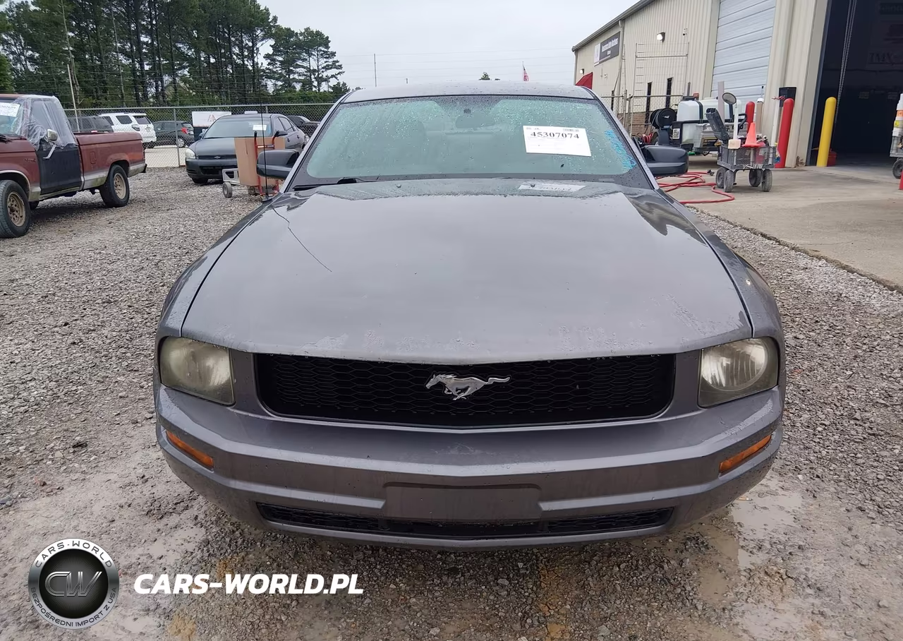 2007 Ford Mustang V6 Deluxe-V6 Premium VIN:1ZVFT80N975310380 - 6