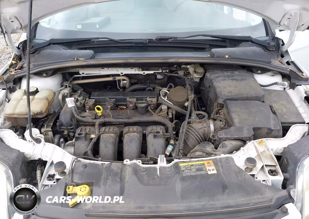 2013 Ford Focus Se VIN:1FADP3F25DL262582 - 10