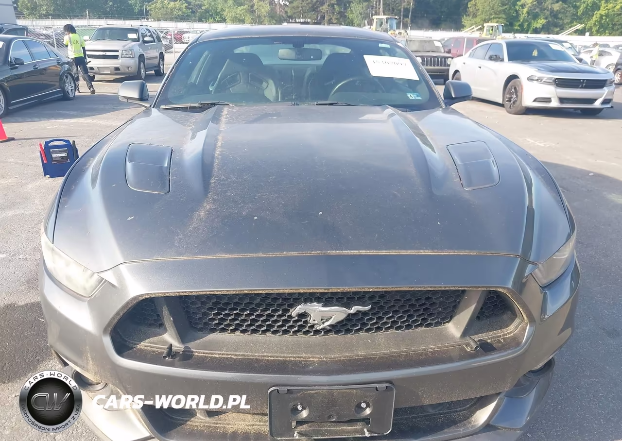 2015 Ford Mustang Gt Premium VIN:1FA6P8CF5F5367675 - 12