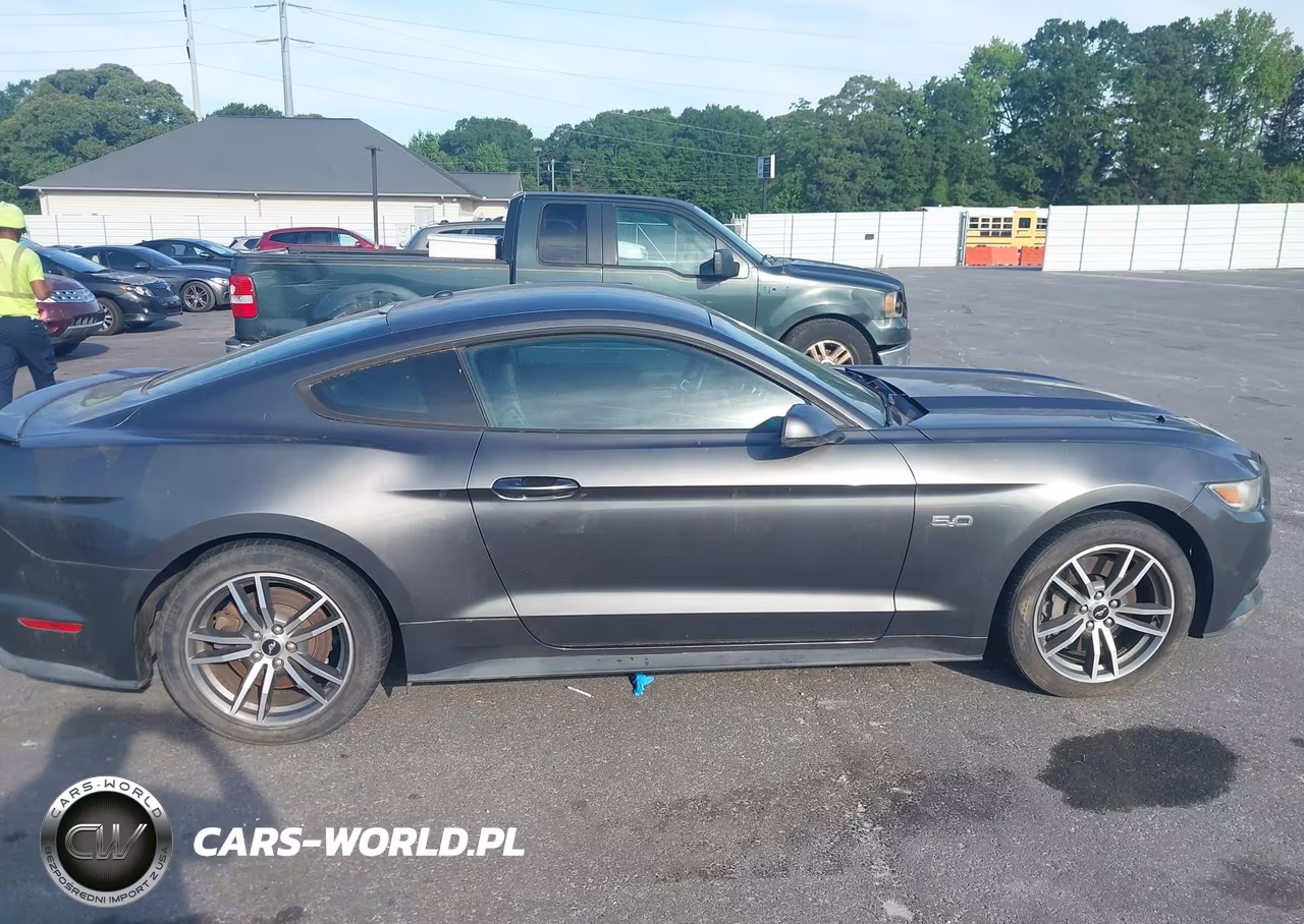 2015 Ford Mustang Gt Premium VIN:1FA6P8CF5F5367675 - 13