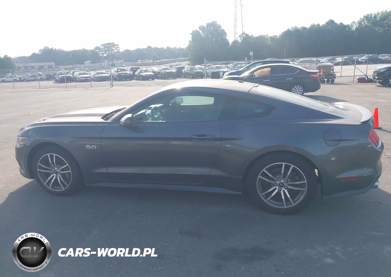 2015 Ford Mustang Gt Premium VIN:1FA6P8CF5F5367675 - 14