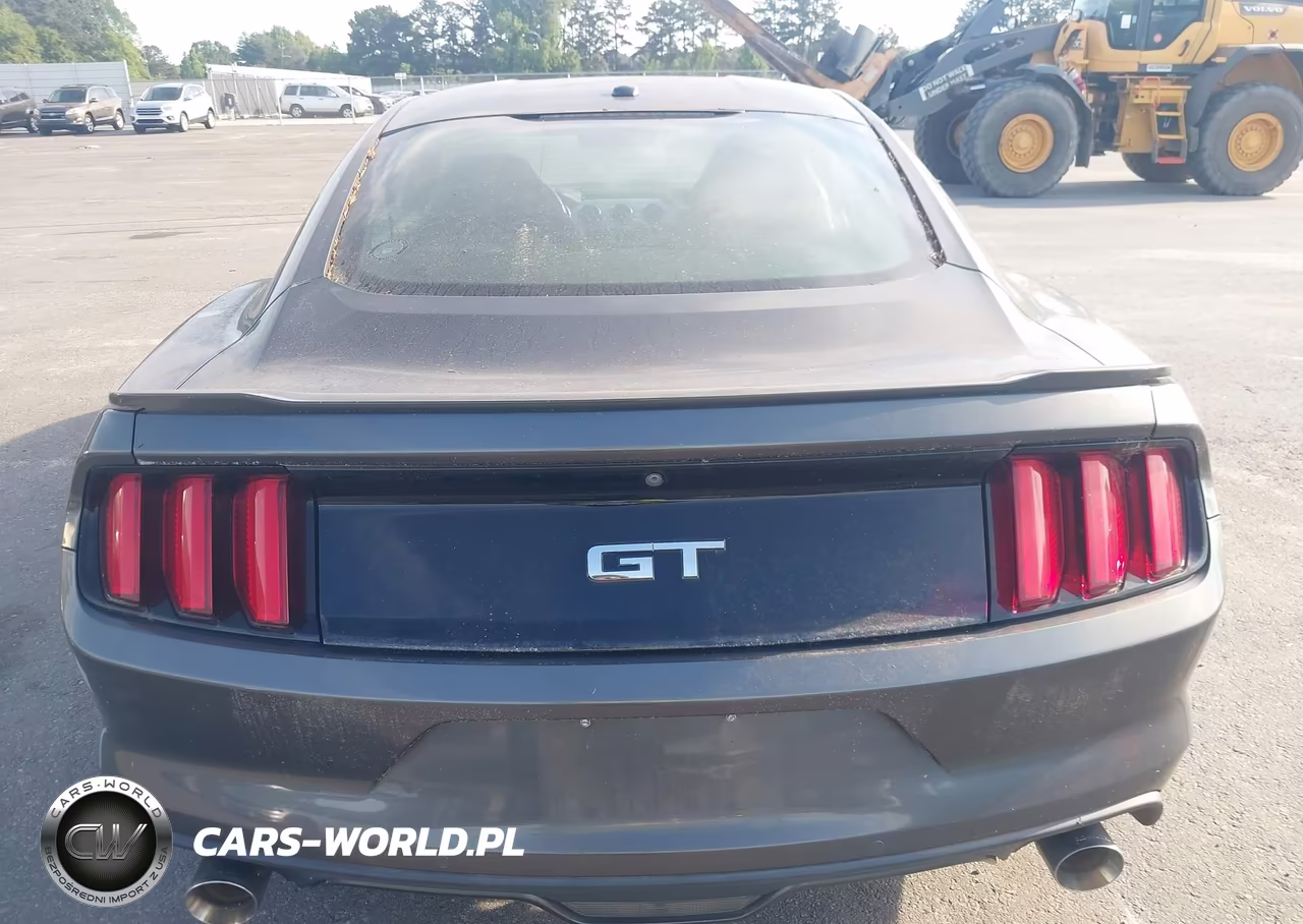 2015 Ford Mustang Gt Premium VIN:1FA6P8CF5F5367675 - 16