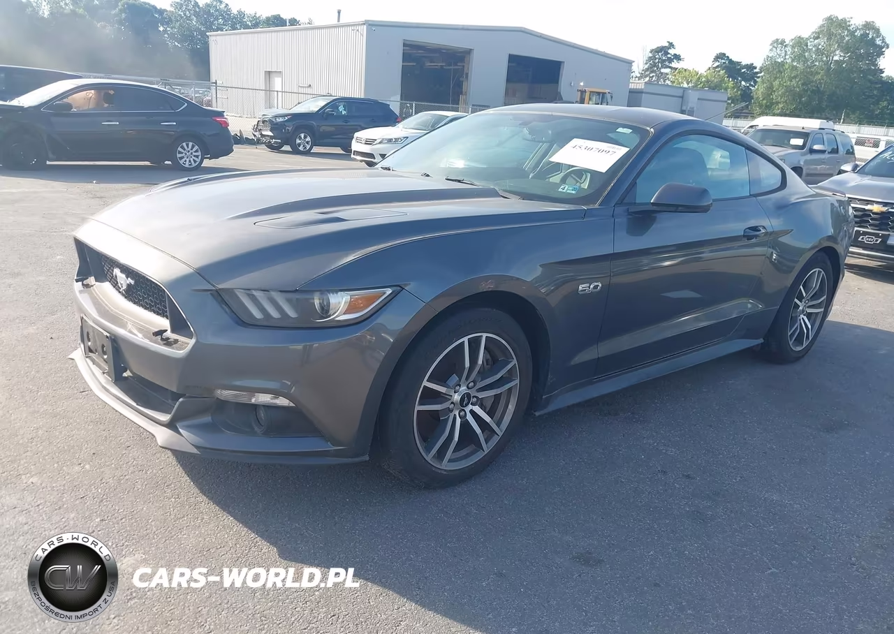 2015 Ford Mustang Gt Premium VIN:1FA6P8CF5F5367675 - 2