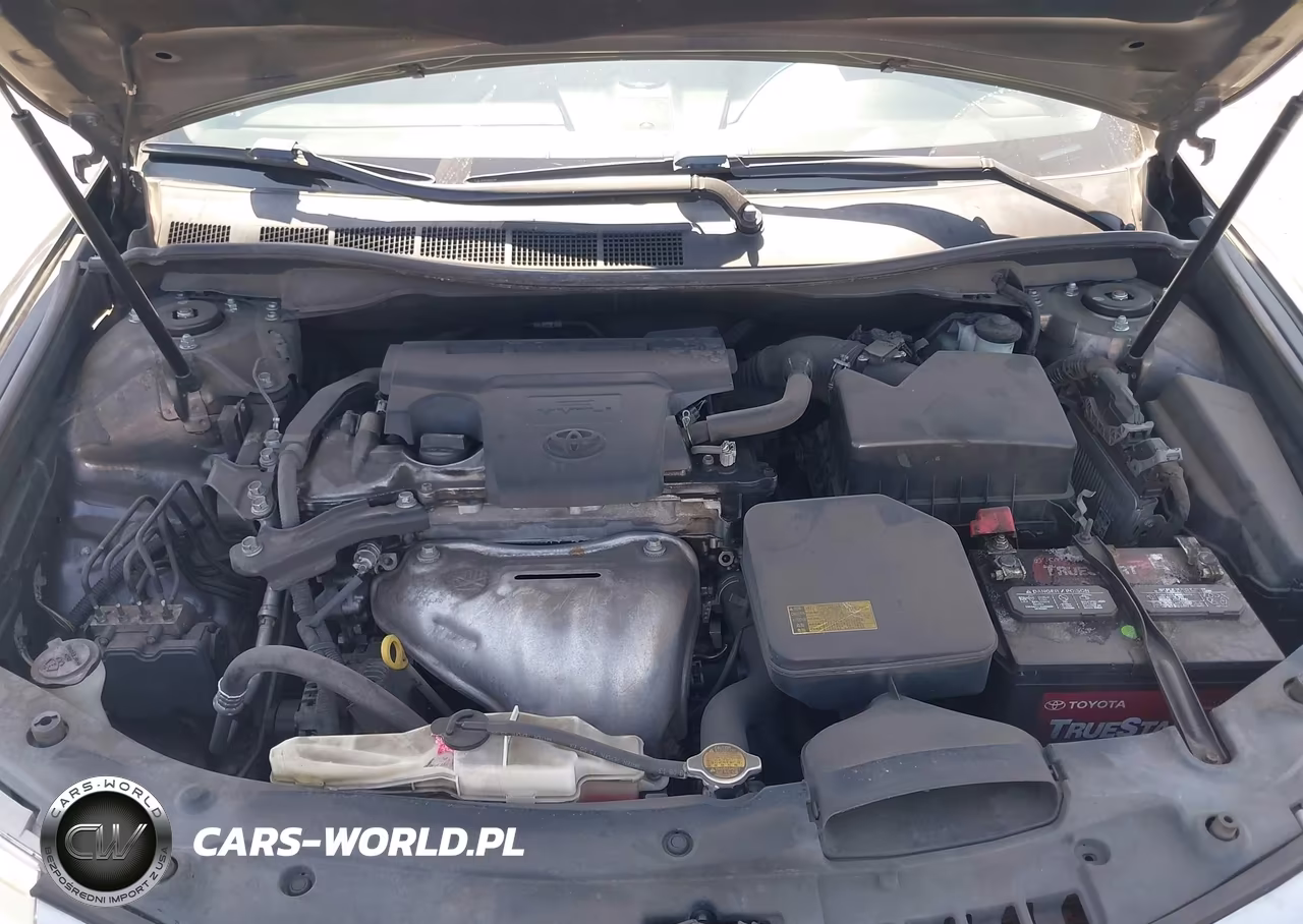 2014 Toyota Camry Xle VIN:4T4BF1FK3ER384895 - 10