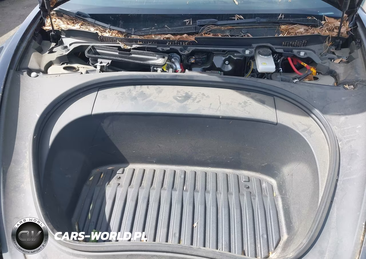 2024 Tesla Model 3 Long Range Dual Motor All-Wheel Drive-Rear-Wheel Drive VIN:5YJ3E1EA6RF725199 - 10