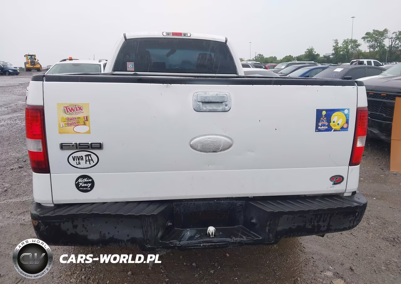 2007 Ford F-150 Stx-Xl-Xlt VIN:1FTRF12W87NA65849 - 12