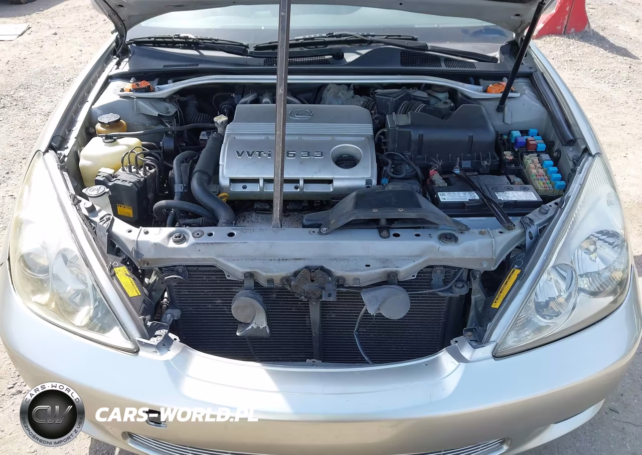 2004 Lexus Es 330 VIN:JTHBA30G045035195 - 10