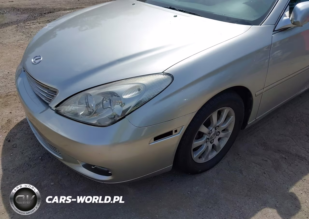 2004 Lexus Es 330 VIN:JTHBA30G045035195 - 14