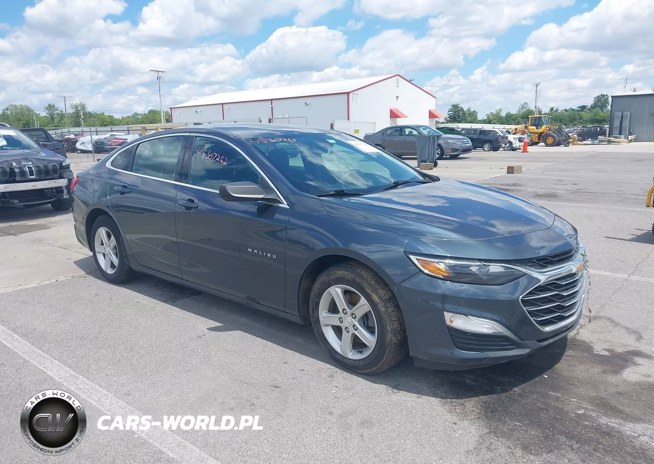 2019 Chevrolet Malibu 1Fl