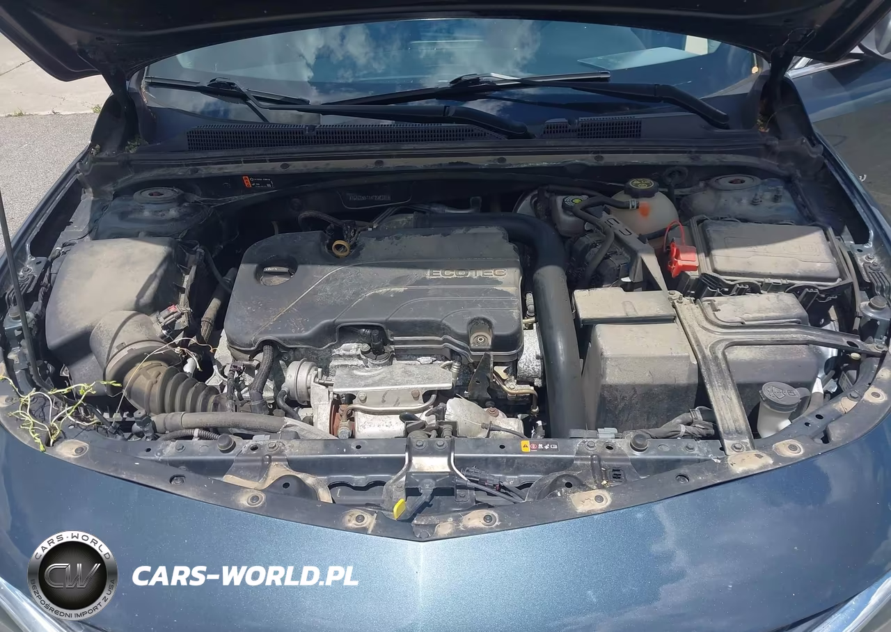 2019 Chevrolet Malibu 1Fl VIN:1G1ZC5ST1KF207721 - 10