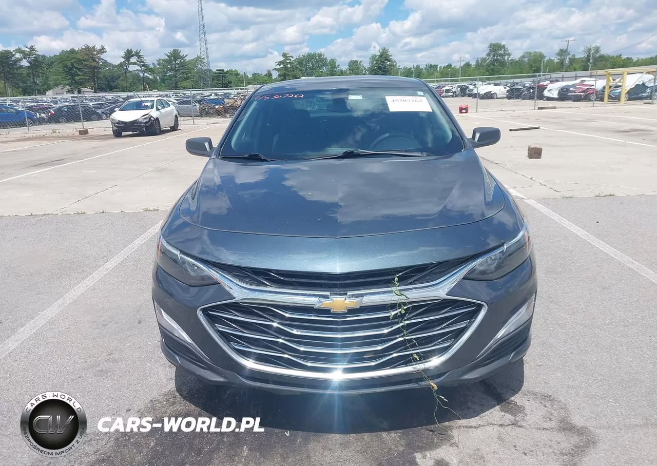 2019 Chevrolet Malibu 1Fl VIN:1G1ZC5ST1KF207721 - 12