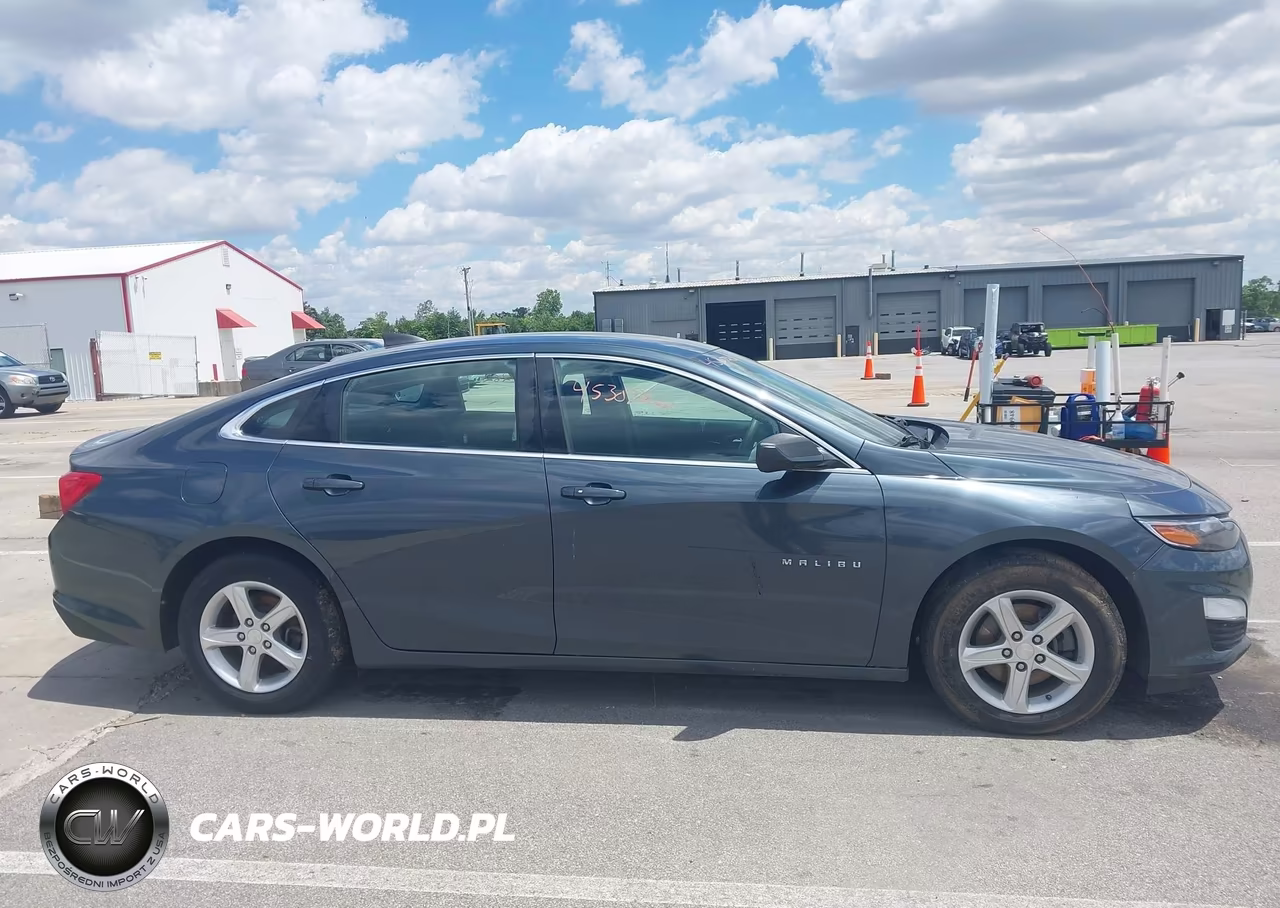 2019 Chevrolet Malibu 1Fl VIN:1G1ZC5ST1KF207721 - 13