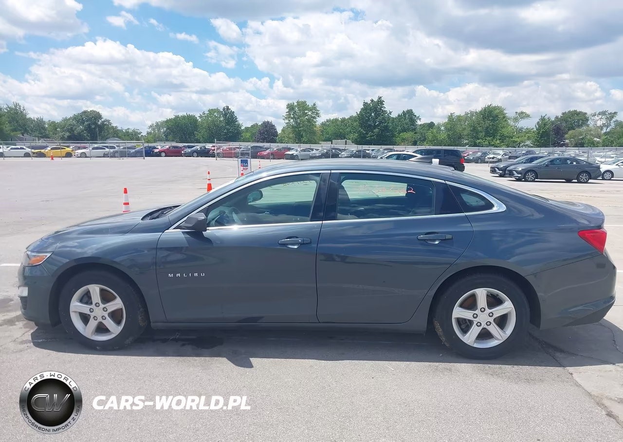 2019 Chevrolet Malibu 1Fl VIN:1G1ZC5ST1KF207721 - 14