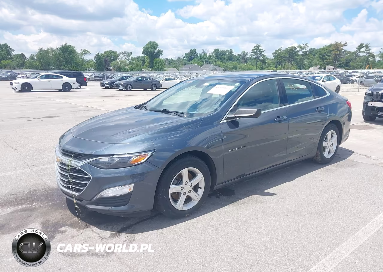 2019 Chevrolet Malibu 1Fl VIN:1G1ZC5ST1KF207721 - 2