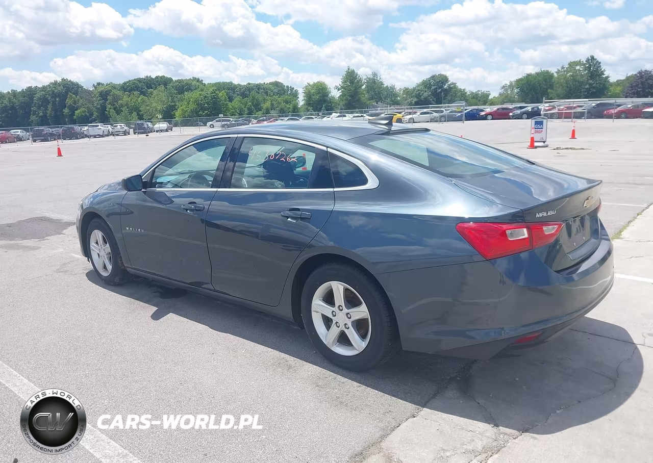 2019 Chevrolet Malibu 1Fl VIN:1G1ZC5ST1KF207721 - 3