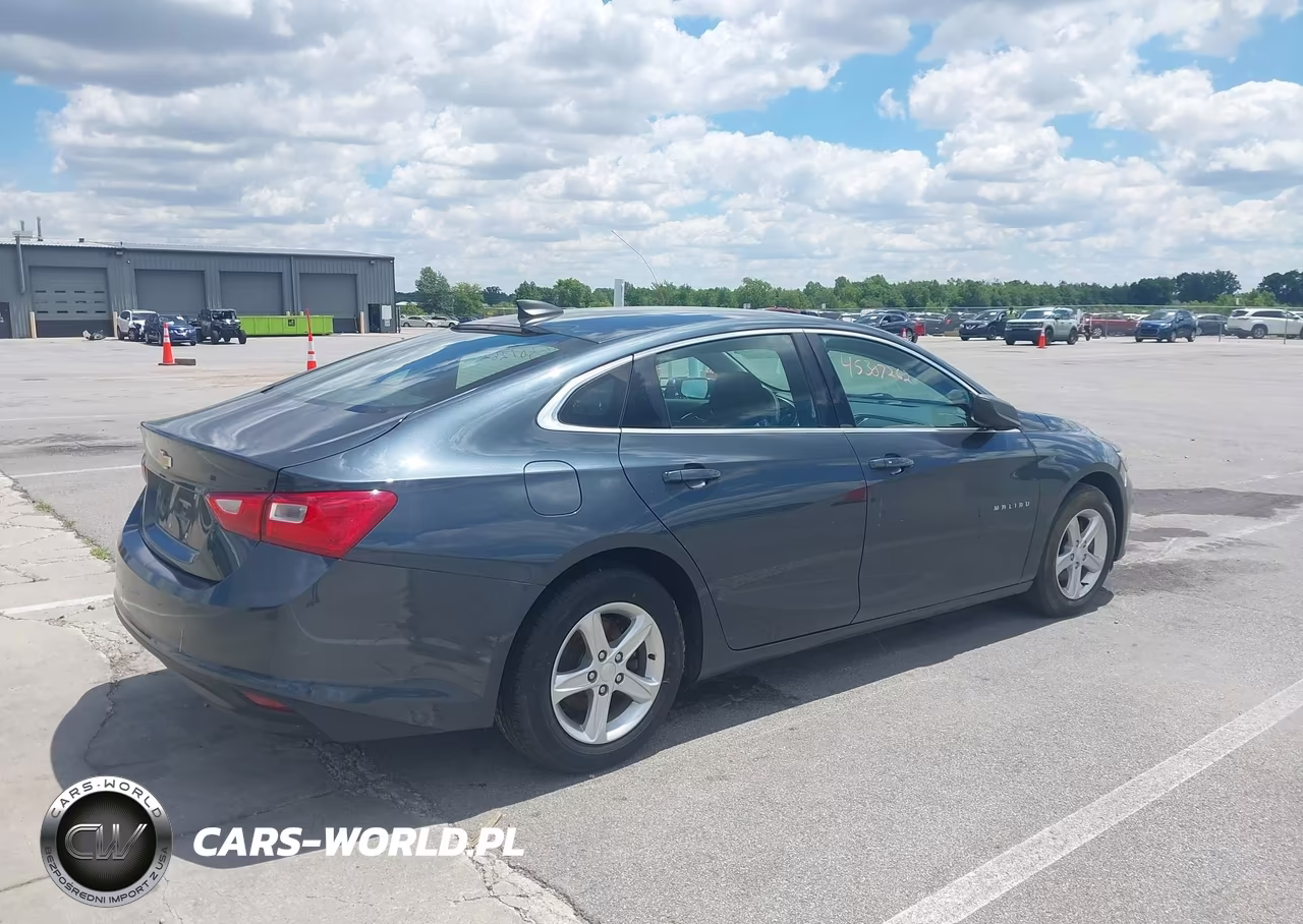 2019 Chevrolet Malibu 1Fl VIN:1G1ZC5ST1KF207721 - 4