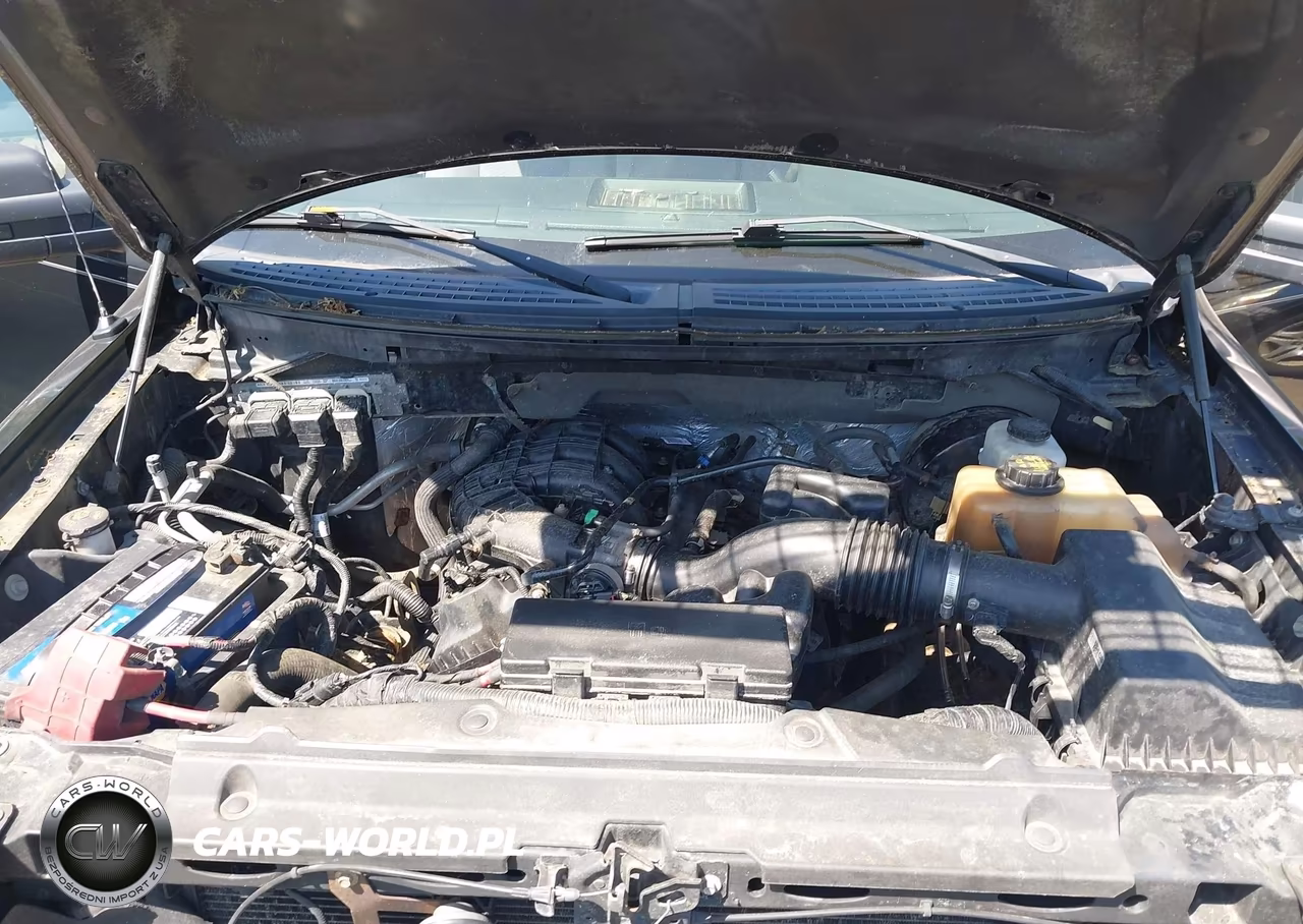 2013 Ford F-150 Xlt VIN:1FTEW1CM2DFB73529 - 10