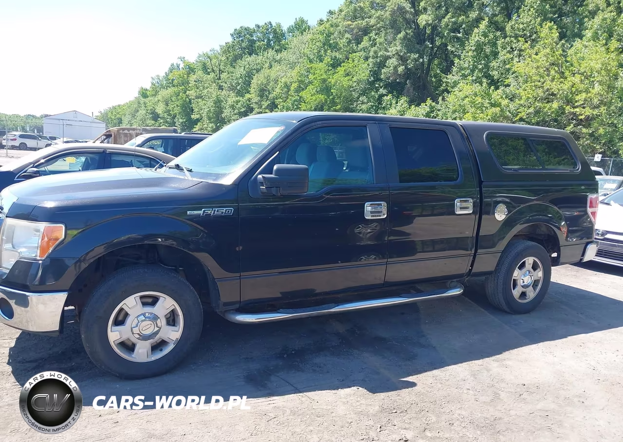 2013 Ford F-150 Xlt VIN:1FTEW1CM2DFB73529 - 15