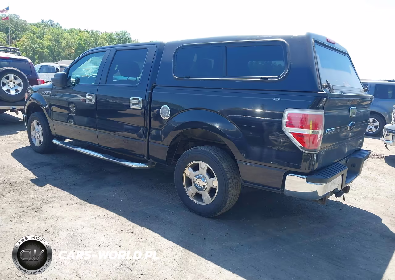 2013 Ford F-150 Xlt VIN:1FTEW1CM2DFB73529 - 3