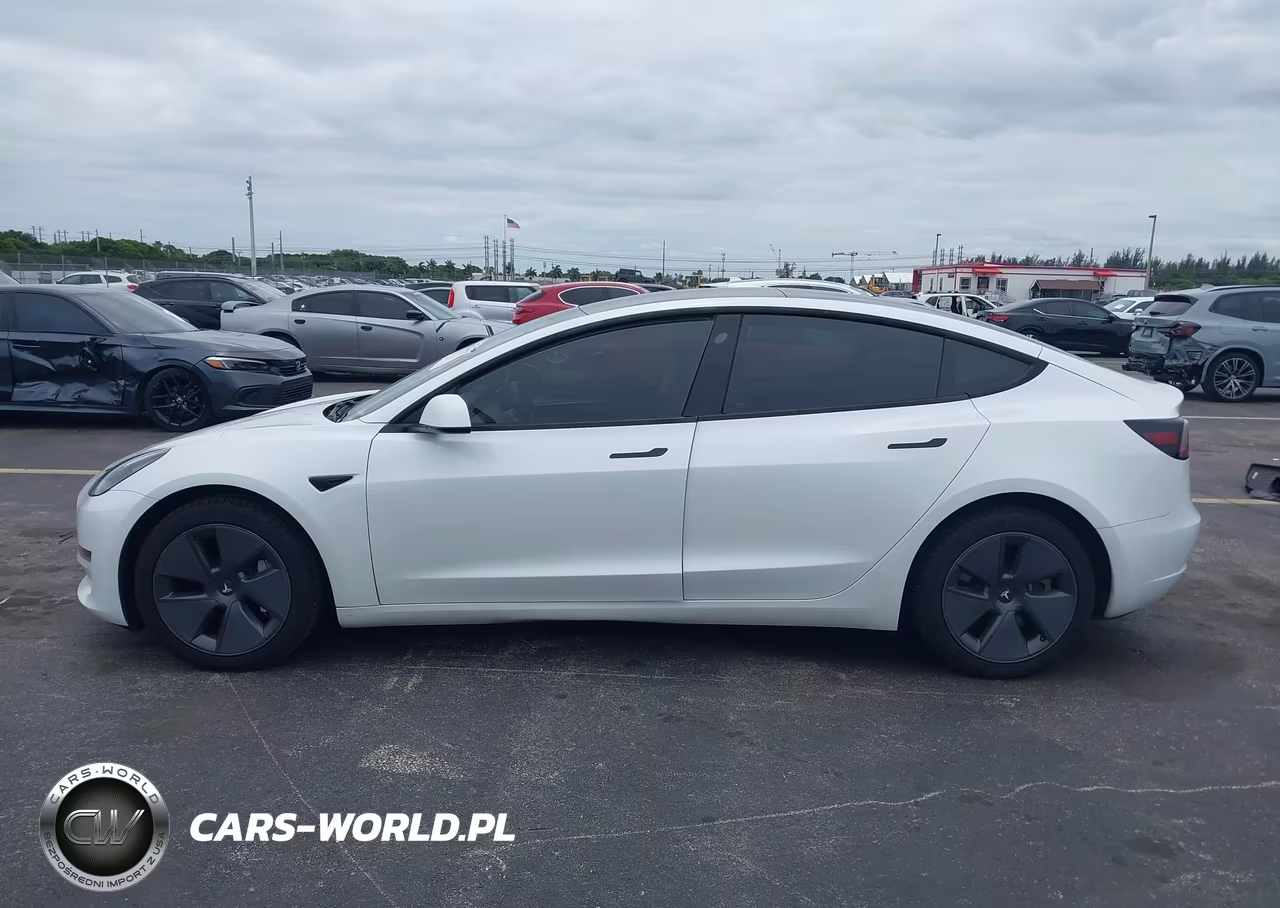 2023 Tesla Model 3 Rear-Wheel Drive VIN:5YJ3E1EA8PF474229 - 14