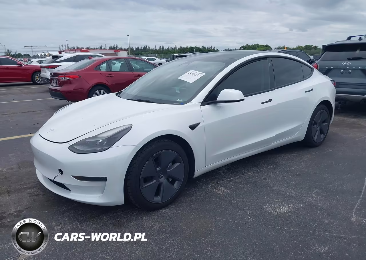 2023 Tesla Model 3 Rear-Wheel Drive VIN:5YJ3E1EA8PF474229 - 2