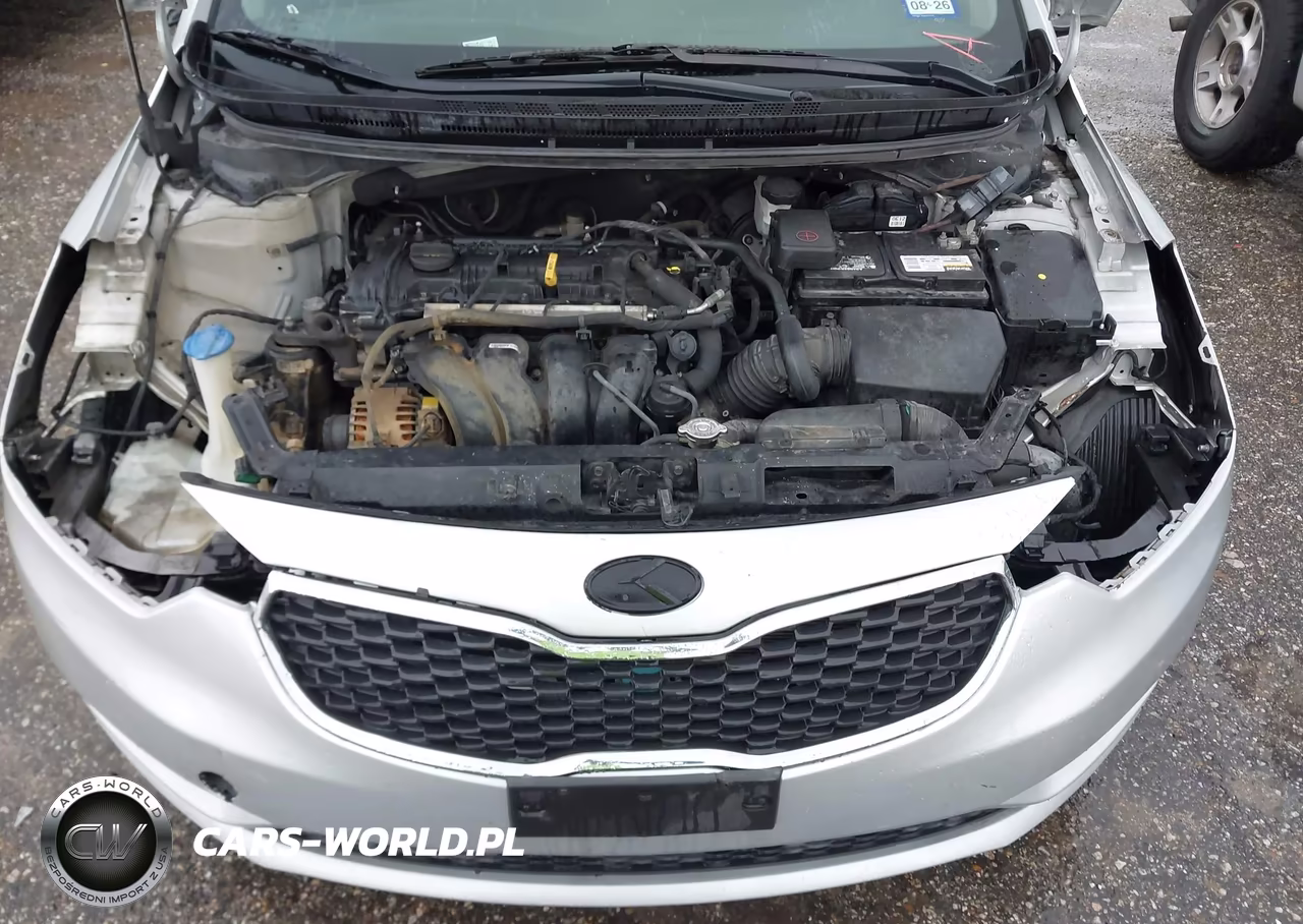 2016 Kia Forte Lx VIN:KNAFK4A67G5576905 - 10