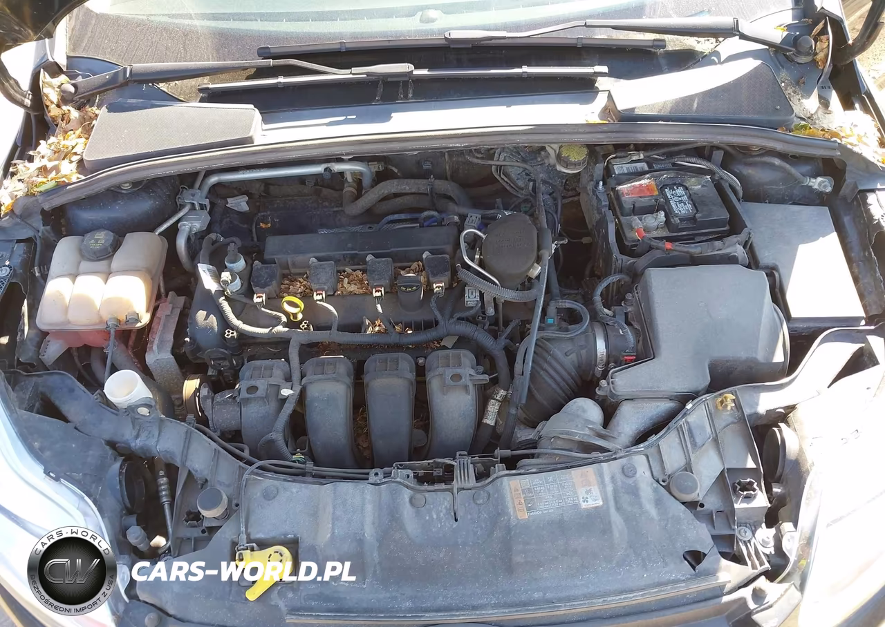 2014 Ford Focus Se VIN:1FADP3F22EL425982 - 10