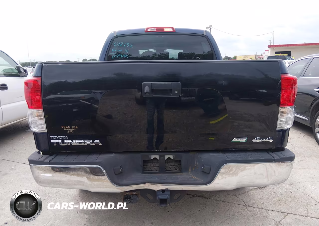 2010 Toyota Tundra Grade 4.6L V8 VIN:5TFEM5F15AX012192 - 16