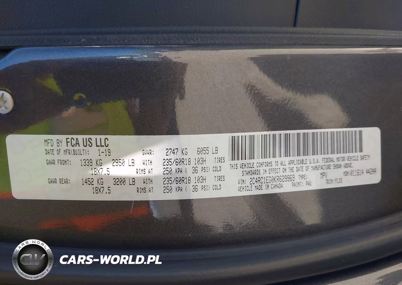 2019 Chrysler Pacifica Touring L Plus VIN:2C4RC1EG0KR629969 - 9