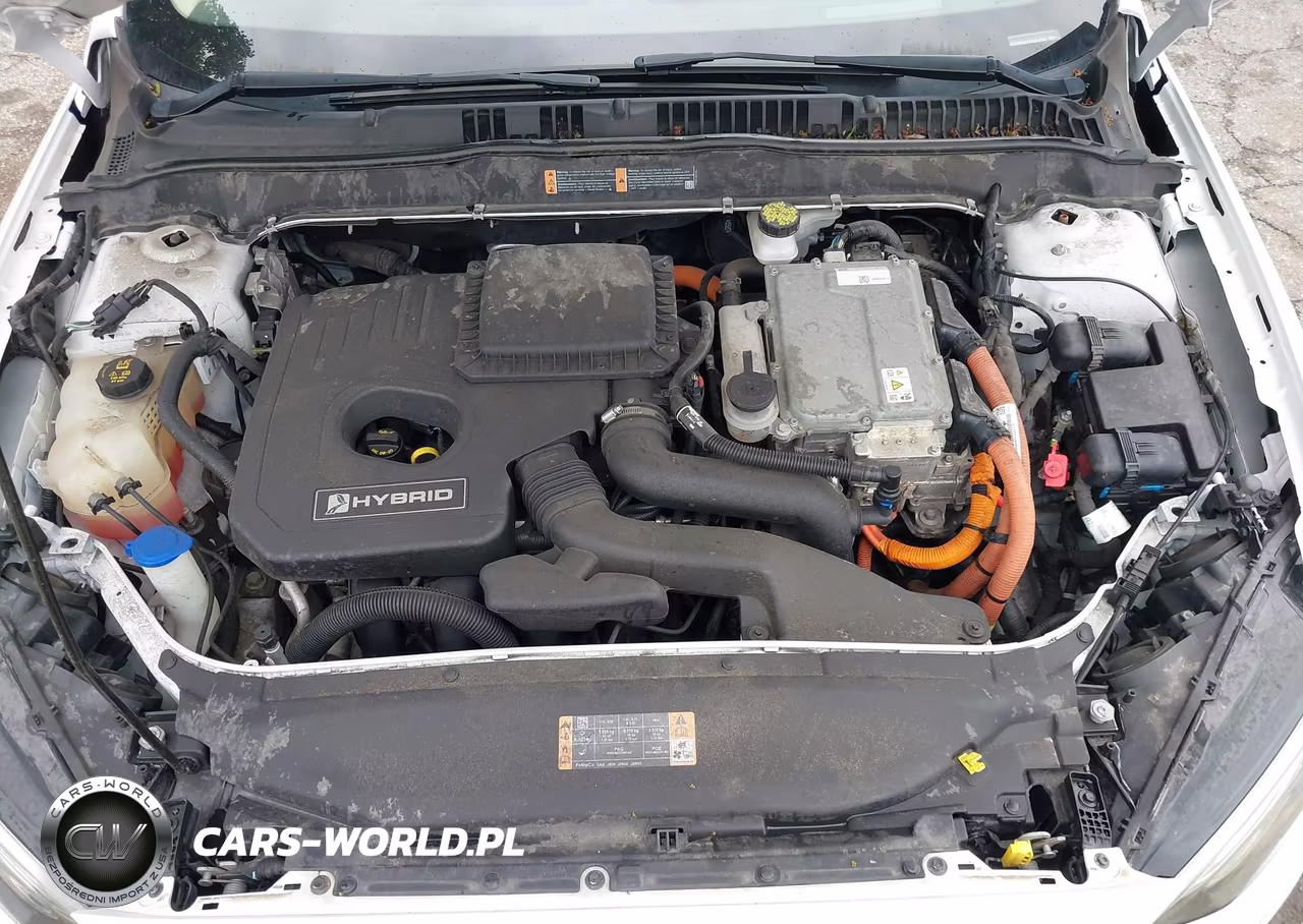 2019 Ford Fusion Hybrid Se VIN:3FA6P0LUXKR224938 - 10